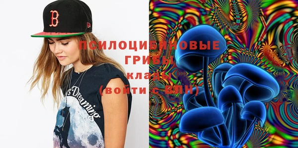 сатива Белоозёрский