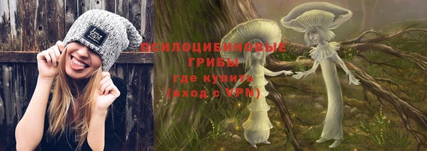 сатива Белоозёрский