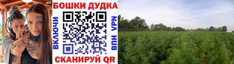 где найти Комсомольск Бошки Шишки Ganja